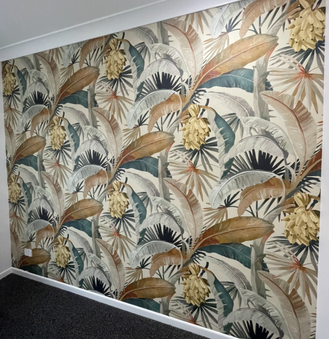 professional wallpaper installation company Cairns, wallpaper hanger cairns, 